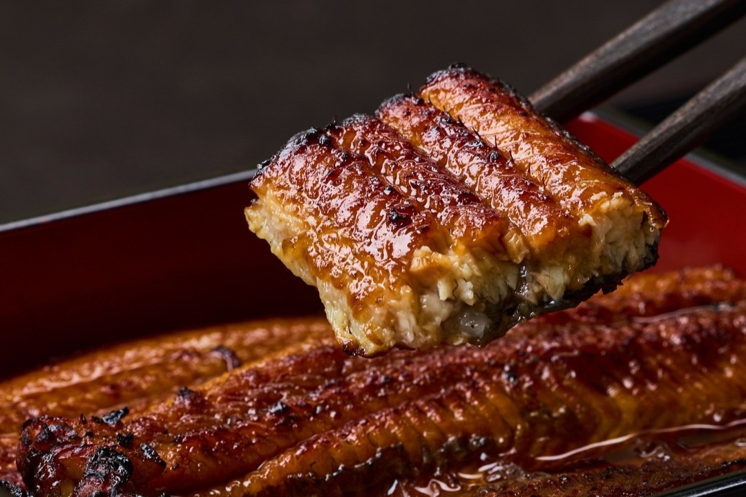 Unagi Naruse ปลาไหล ข้าวหน้าปลาไหน ร้านอาหารญี่ปุ่น อาหารญี่ปุ่น พร้อมพงษ์