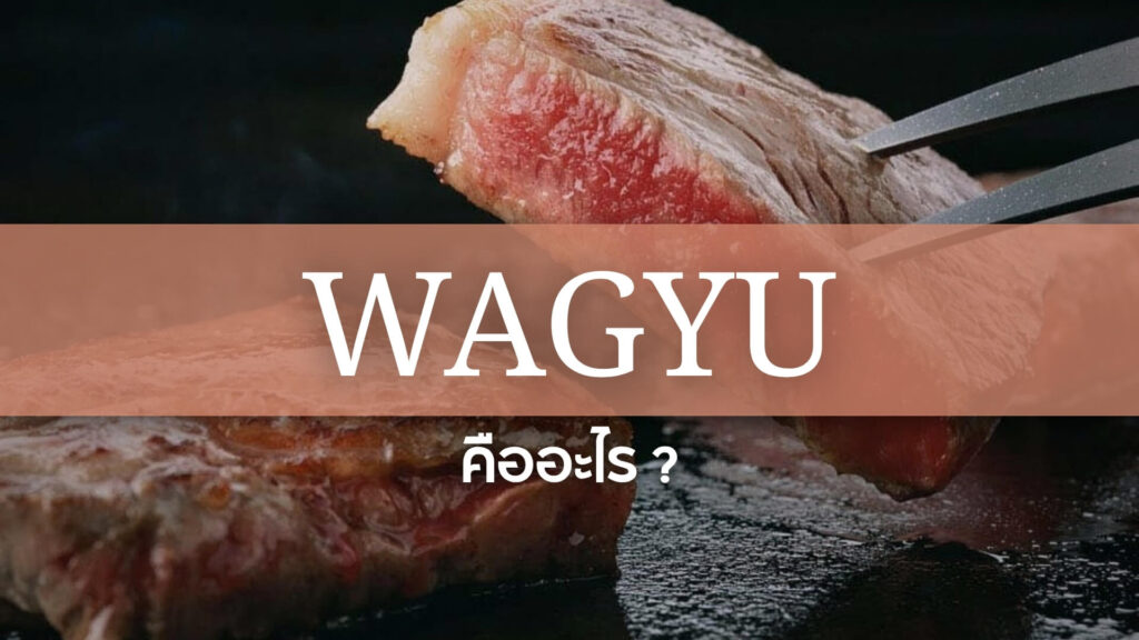 Wagyu: วากิว คืออะไร