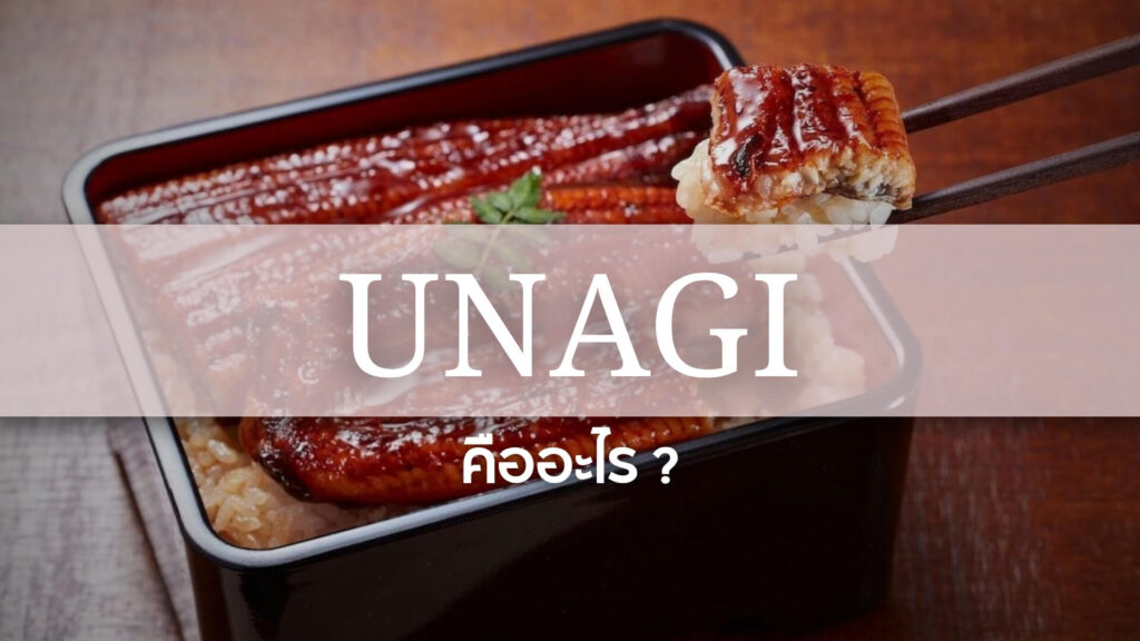Unagi: อูนางิหรือปลาไหลญี่ปุ่น คืออะไร