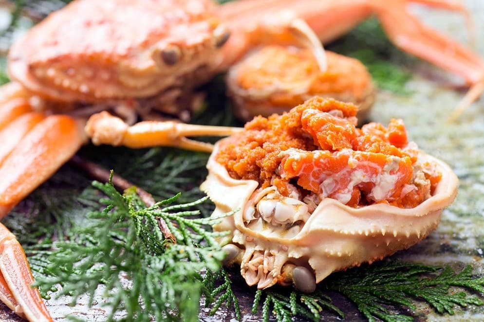 โซโตะโกะ (sotoko)