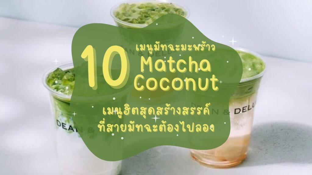 10 ร้านเมนูมัทฉะมะพร้าว (Matcha Coconut) เมนูฮิตสุดสร้างสรรค์ที่สายมัทฉะต้องไปลอง