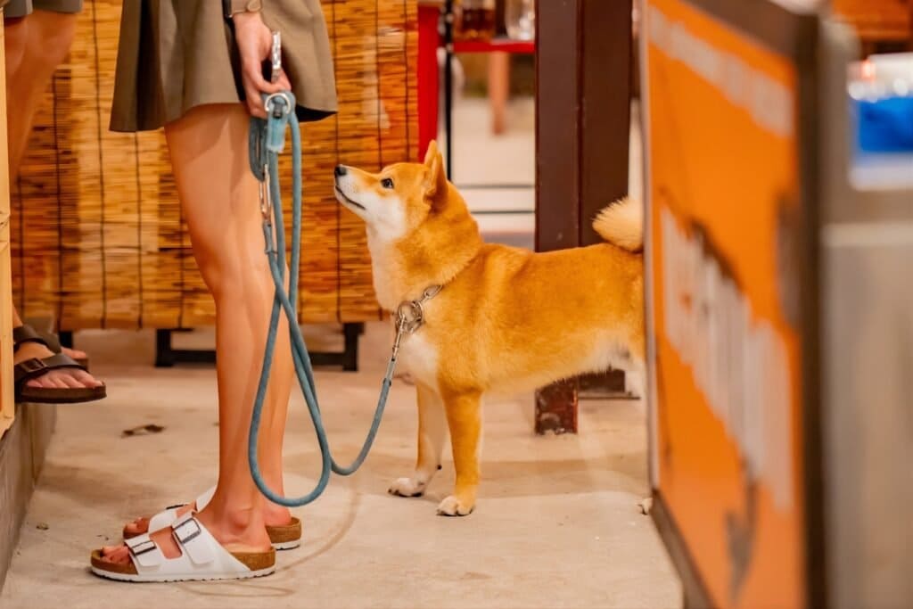 1. Thonglor Yokocho - 10 ร้านอาหารญี่ปุ่น Pet Friendly พาสัตว์เลี้ยงคู่ใจไปชิลในวันหยุด