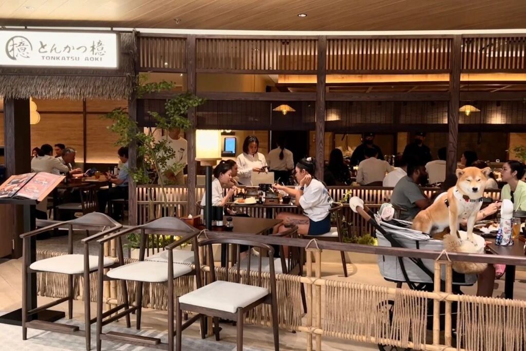 3. Tonkatsu AOKI - 10 ร้านอาหารญี่ปุ่น Pet Friendly พาสัตว์เลี้ยงคู่ใจไปชิลในวันหยุด