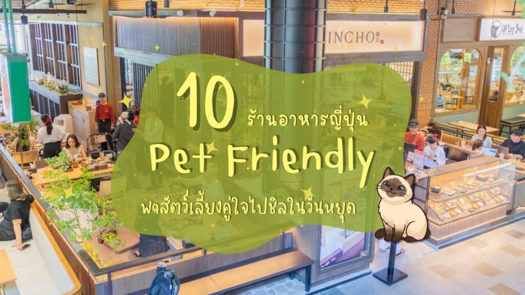 10 ร้านอาหารญี่ปุ่น Pet Friendly พาสัตว์เลี้ยงคู่ใจไปชิลในวันหยุด
